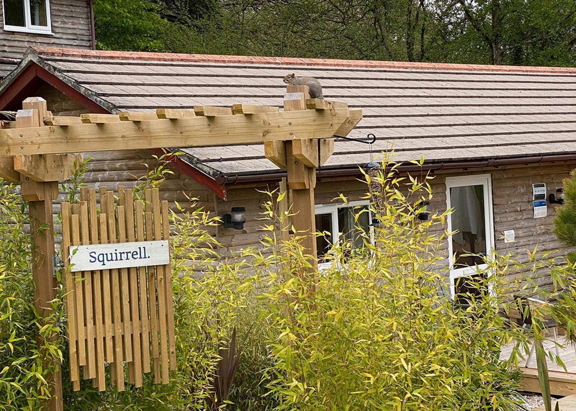 Ivyleaf Combe Lodges Stratton  Exterior photo